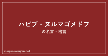 ハビブ・ヌルマゴメドフの名言格言11選